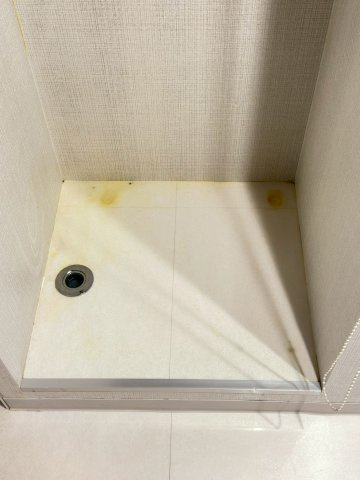 ライオンズマンション御徒町第五の設備|洗濯機置場