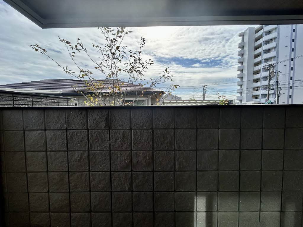 熊本市東区長嶺西３丁目の賃貸マンションの展望