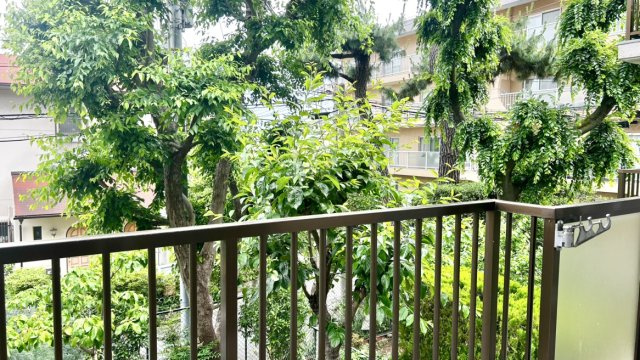 メゾン住吉川の展望|バルコニー東南側、緑が楽しめます♪