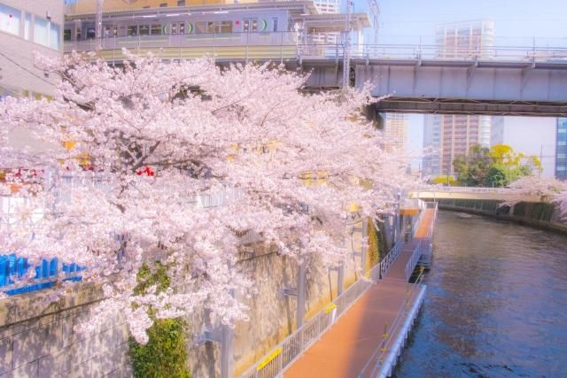 ハイラーク五反田の庭