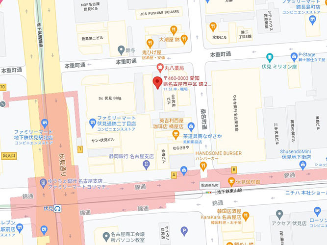 ミズノビルの地図