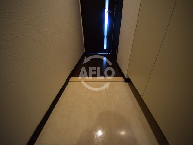 エスライズ難波の玄関|エスライズ難波　玄関