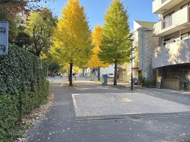 【その他】