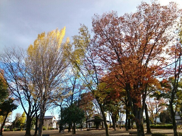 レガーロの周辺|くじら森公園まで400m