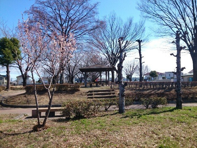 ミストラルＡの周辺|福島公園まで700m