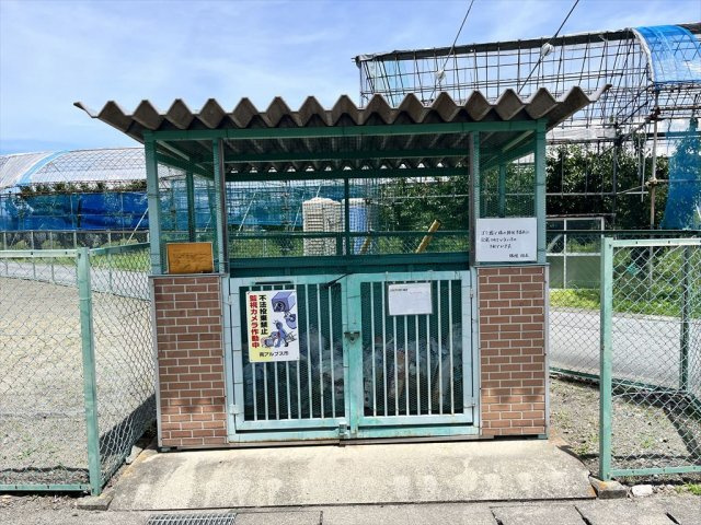 南アルプス市下今井の中古一戸建の庭