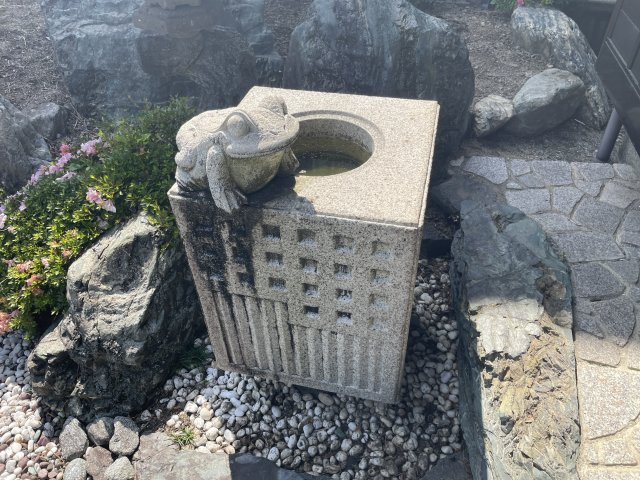 高島市今津町中沼2丁目中古戸建の庭