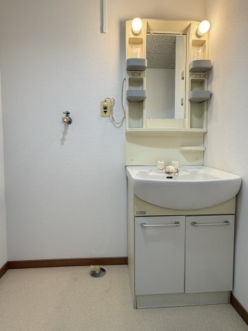 グレイス山王の洗面所