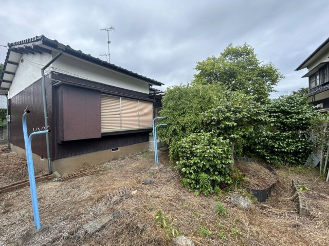 【庭】 | 白川売家 | 植樹されていますが、広い庭です。日当たりもとても良いです。
