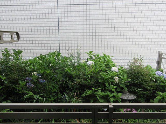 花梨の展望|★バルコニーからの景色★
