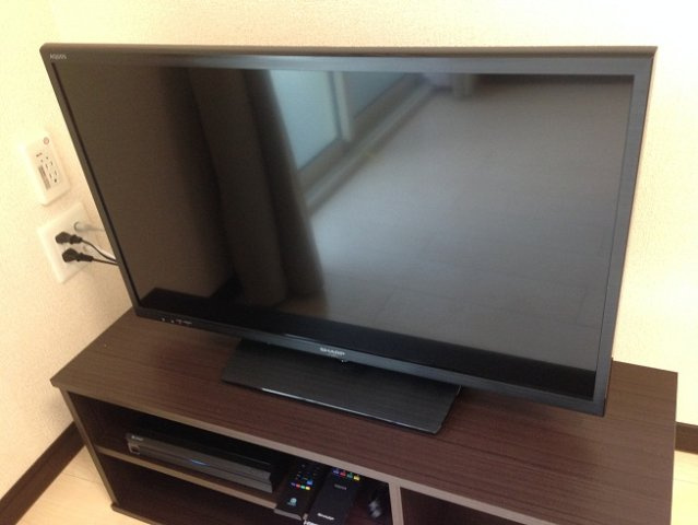 レオネクストラッポラのその他|テレビ