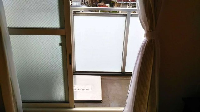 レオネクストヴィヴレのその他