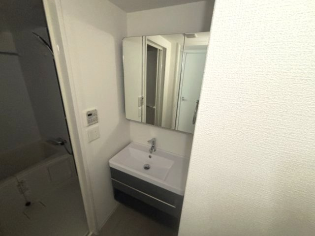 セレニテ神戸駅前アリエの独立洗面台