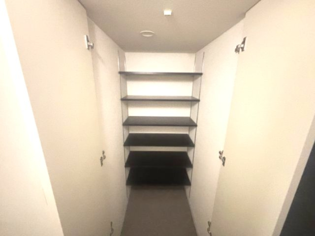 セレニテ神戸駅前アリエの収納