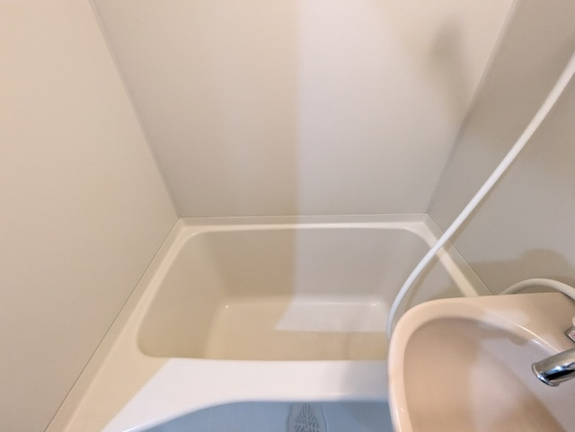 バス