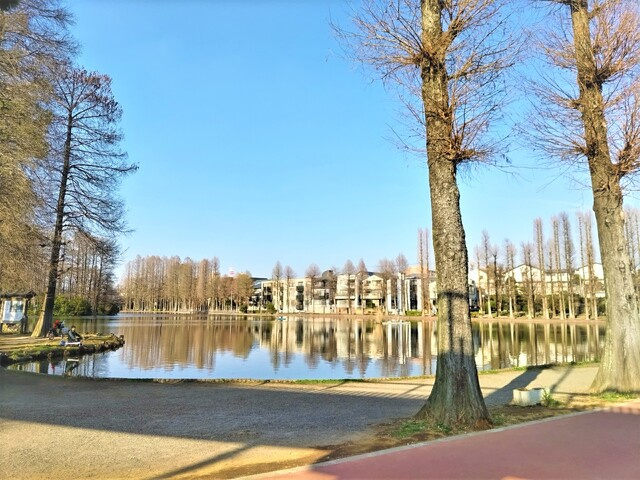 別所沼公園まで850ｍ
