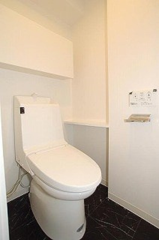 ステージグランデ錦糸町のトイレ|※カラータイプ異なります