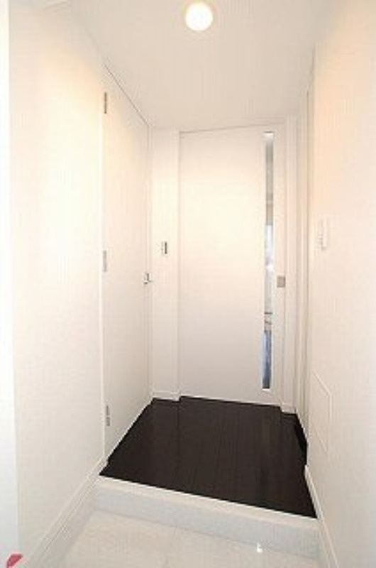 ステージグランデ錦糸町の玄関|※カラータイプ異なります
