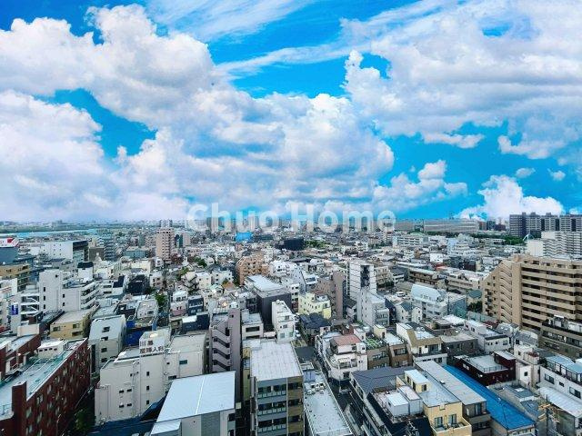 ビューネタワー平井の展望|眺望