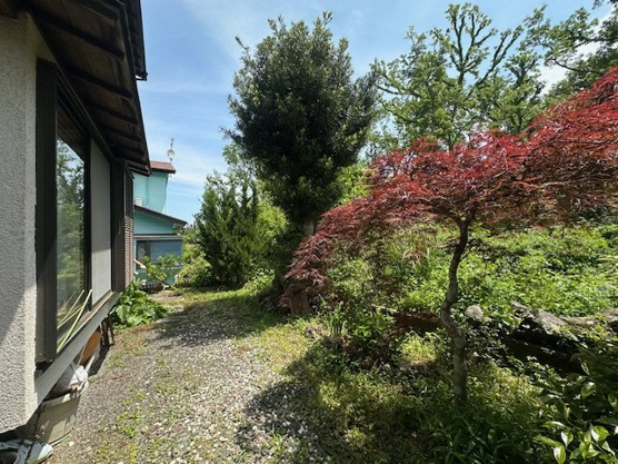 【庭】 | 伊東市川奈　戸建