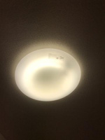 照明
