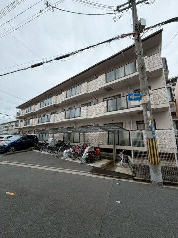 アン・アムール