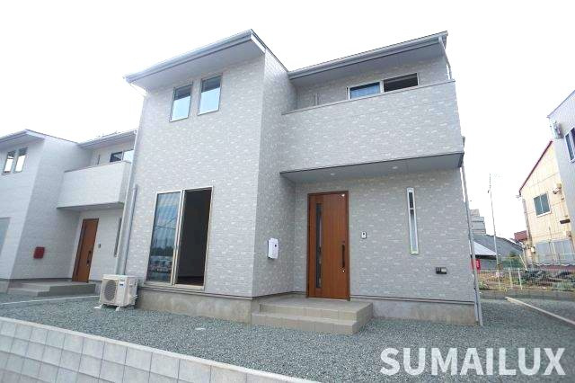 AURELIA KUMAMOTO