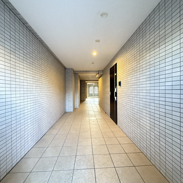 Shibata　Palace　Ⅷ