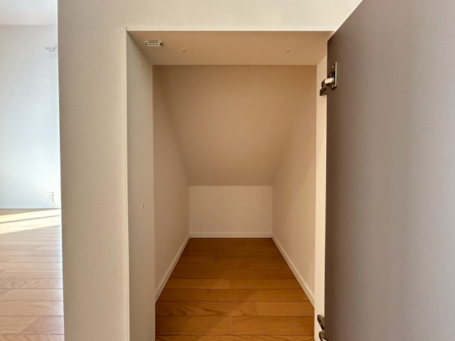 Ｆｅｌｉｚ Ｐａｌａｃｉｏのその他