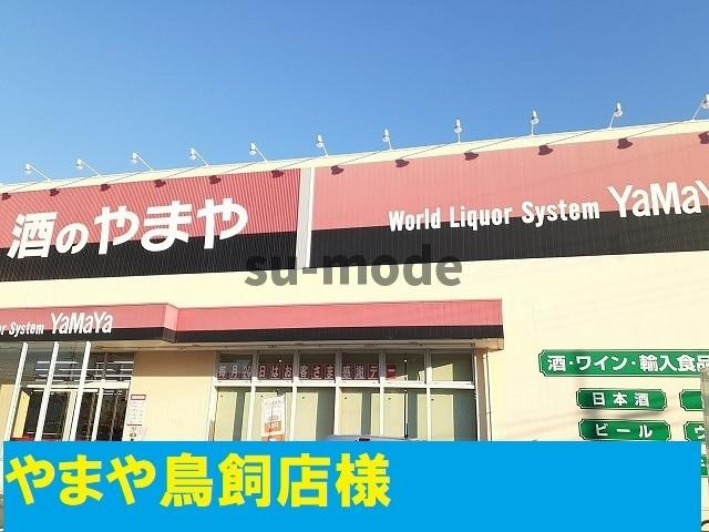 モデッサフェリーチェの設備