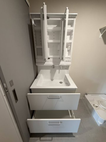 WELLNEST　ROOM　名駅南　B棟の洗面所
