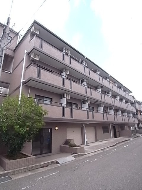 コージ・コート・クイセ