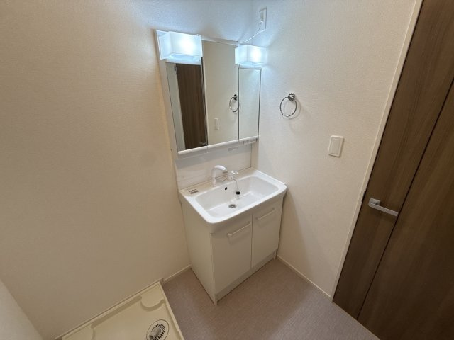 プラシード姫路の洗面所