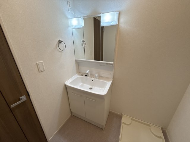 プラシード姫路の洗面所