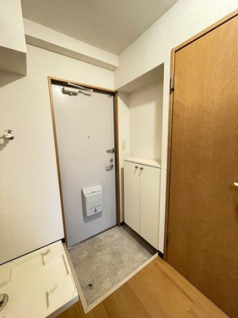 川口市芝中田１丁目の賃貸マンションの玄関
