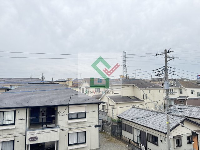 エーデルワイスの展望