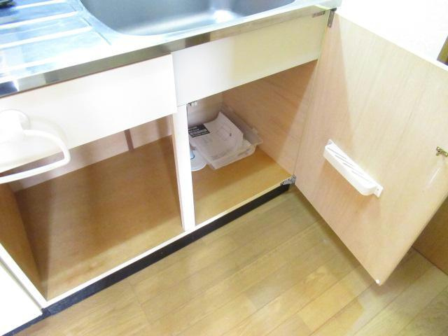 ＡＲＭしんとく1のキッチン