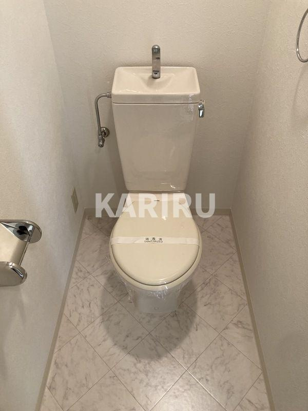 レーゼンハイムのトイレ
