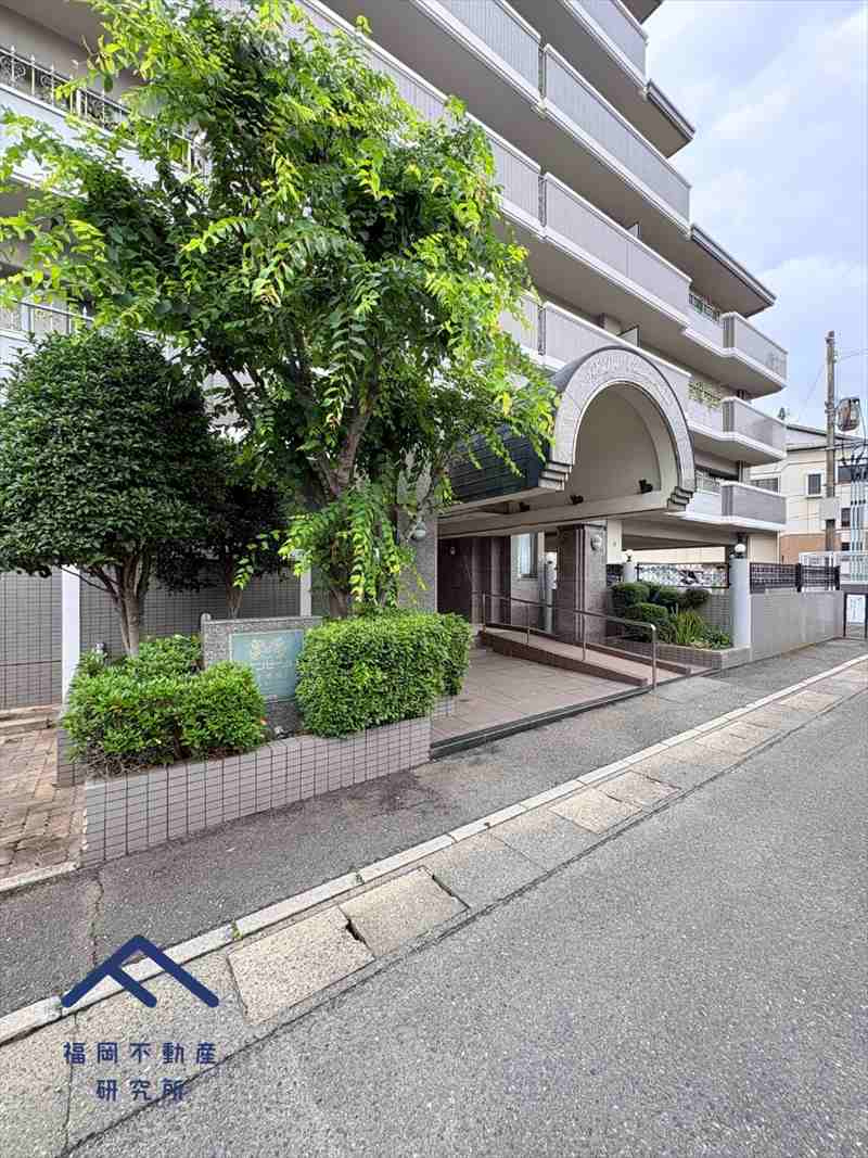アンピール大橋南のその他