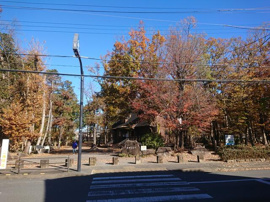 新田山公園まで156m