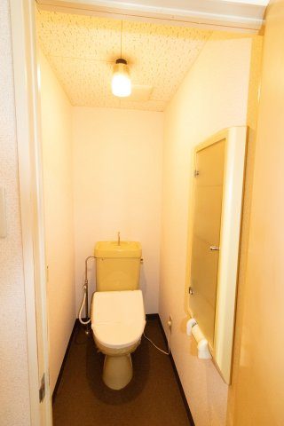 ズイコーアスピラントハイツ足利のトイレ|清潔感のあるトイレです