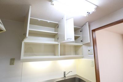 【収納】 | スターヴァレイⅡ | ※同建物ほかのお部屋の写真です。