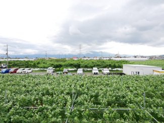 【展望】 | 笛吹市石和町今井 平成16年築 オール電化中古戸建 車4台 | 2階より西側を望む　ブドウ畑です