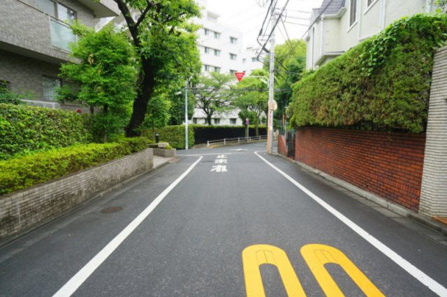 上野毛３　戸建の前面道路含む現地写真|南西側　公道　幅員約6.1m　接道約14m
