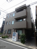 アンバーコートの画像