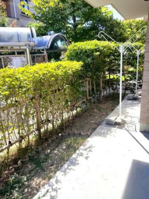 モンセーヌ西神南の庭