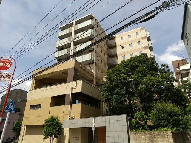 セルティスコート