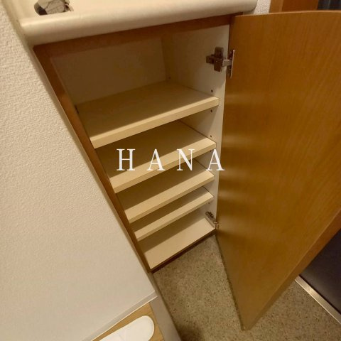ザ・レジデンス行徳Ⅱの収納|他部屋参考写真