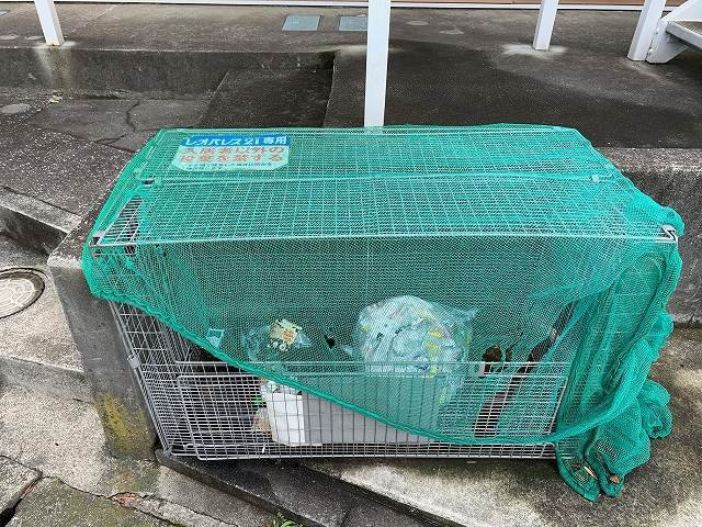 レオパレスべガのその他|ゴミ置き場