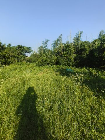 熊本市西区池田2丁目　畑の外観|広い1027㎡の敷地